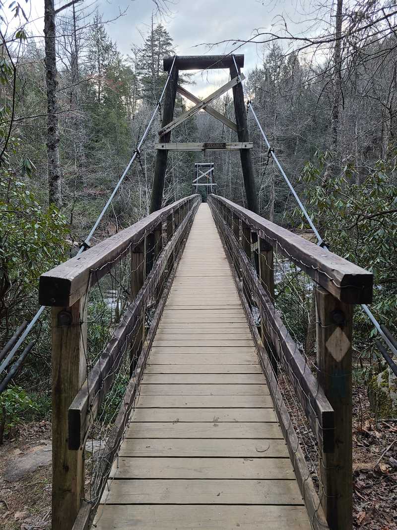 Bridge on BMT